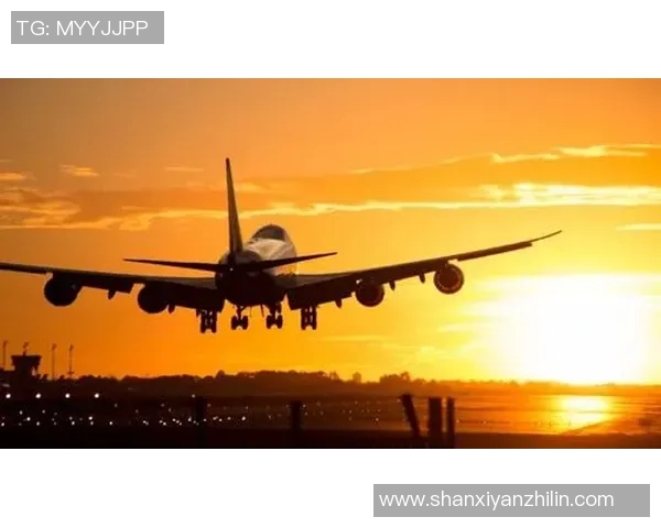 悲剧降临飞机坠毁带走足球明星的璀璨人生与梦想