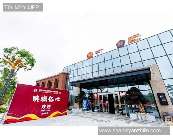 中国足球之乡的崛起与发展探秘：从基层到职业联赛的奋斗历程