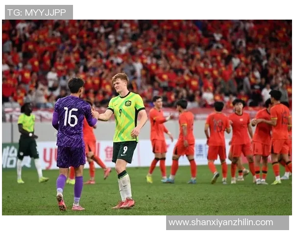 中国足球队在国际赛场上的奋战历程与未来发展展望